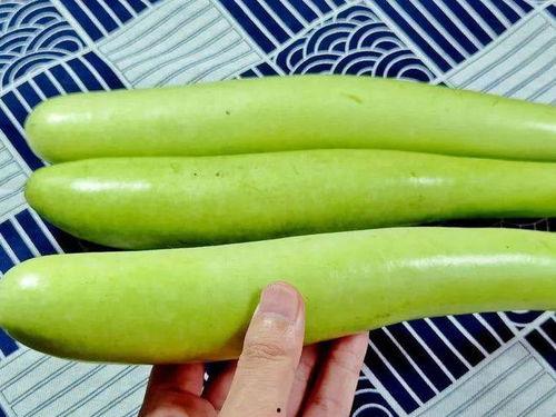 98吃瓜网,98吃瓜网带你领略明星幕后故事