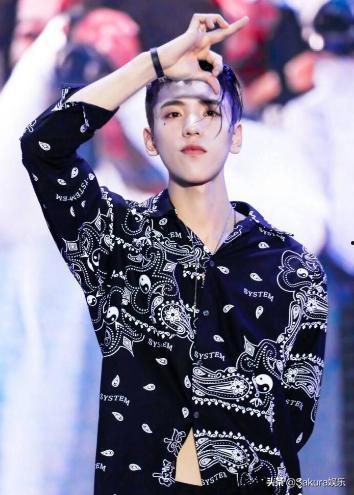 吃瓜网王子博,吃瓜网幕后推手，揭秘娱乐圈风云变幻