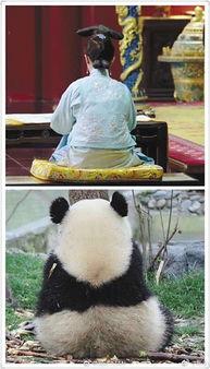 喵星娱乐吃瓜群众视频,揭秘吃瓜群众背后的精彩瞬间